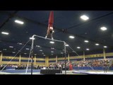 Akash Modi - High Bar - 2017 Winter Cup Finals