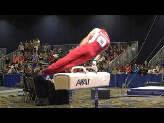 Peter Daggett - Pommel Horse - 2017 Winter Cup Finals