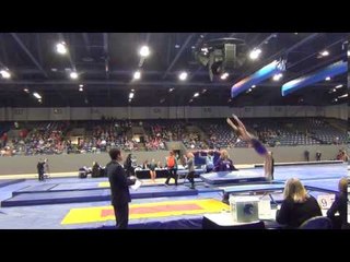 Alex Renkert - Double-mini - Pass 1 - 2017 Winter Classic Finals