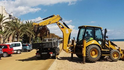 Giant Turtle Found on Catalan Beach