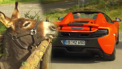 [영상] 고가의 맥라렌 물어뜯은 당나귀 '천진난만' / YTN