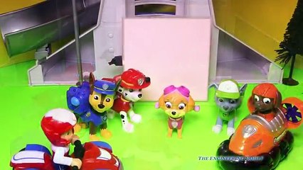 PAW PATROL Nickelodeon Paw Patrol vs Kitty Patrol a Paw Patrol YouTube Video
