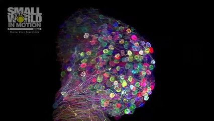 The Year's Best Microscopic Photography Is Equal Parts Beauty and Horror