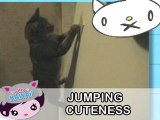 Ultra Kawaii - Jumping Cuteness