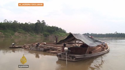Brazil's Amazon tribes in danger of extinction
