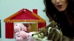 The Three Little Pigs Puppet Show
