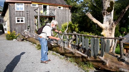 DSC_1831 Alt Sankt Johann en Suisse, arbre à sons vers Klangschmiede forge des sons