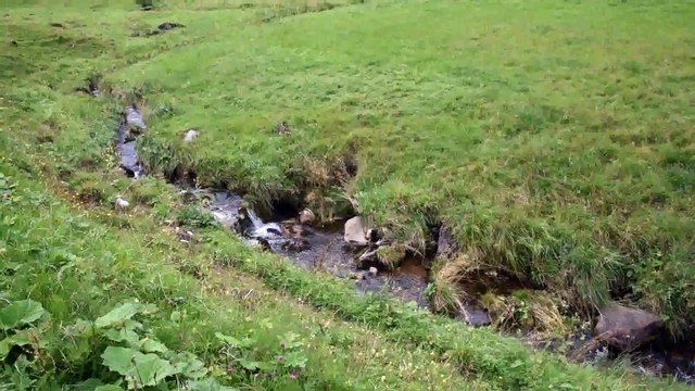 DSC_1953 Unterwasser en Suisse de Laui au lac Gräppelen, chèvres et cloches de vaches