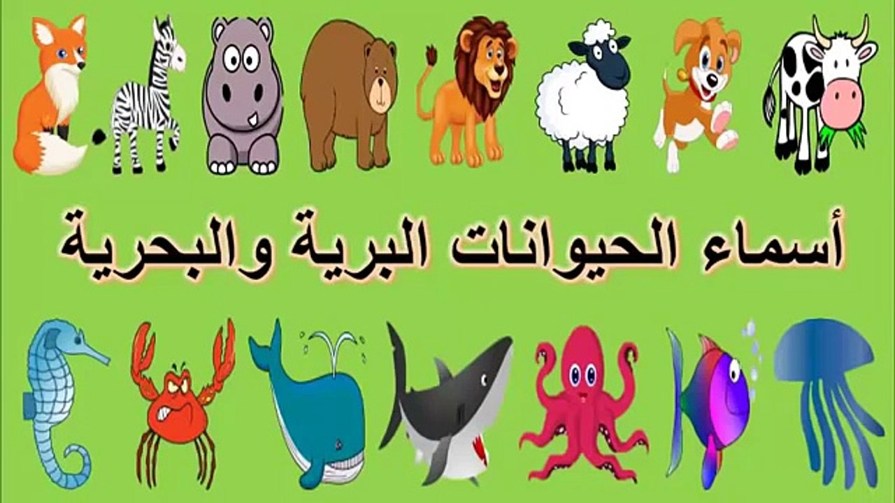 تعلم أسماء الحيوانات البرية والبحرية للأطفال|Wild and marine animals in Arabic