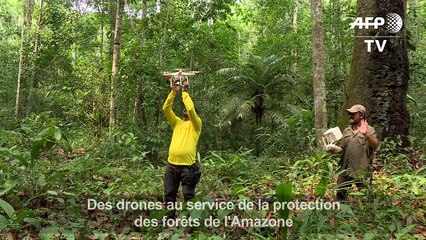Des drones au service de la protection des forêts de l'Amazone