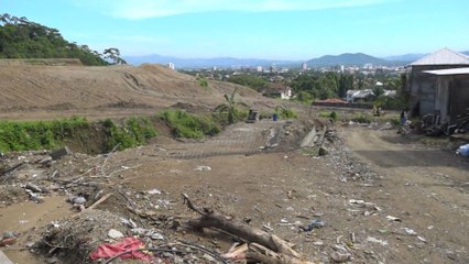 Proyecto habitacional provoca deforestación de el Merendon
