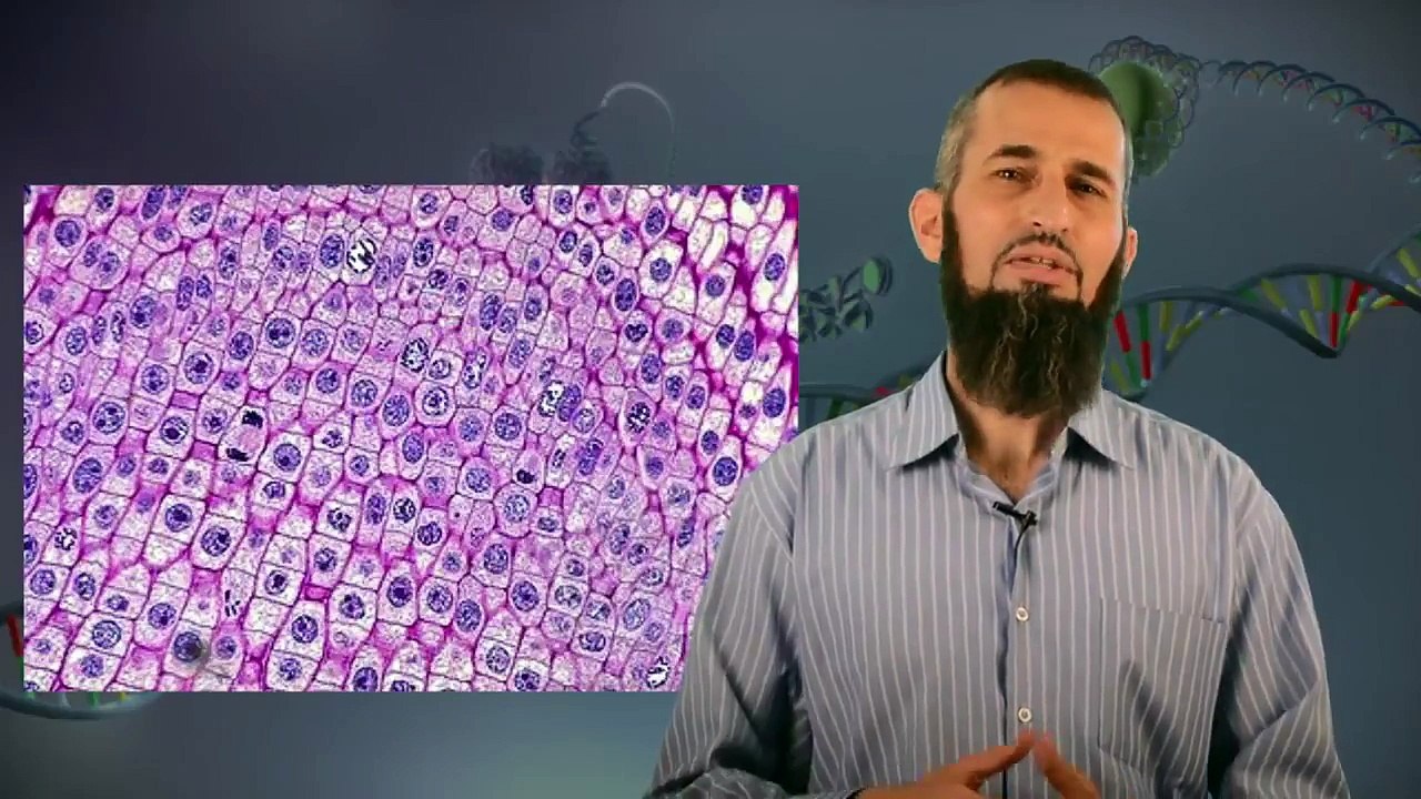 " رحلة اليقين ~18~ ... العجيبة المذهلة ! طول المادة الوراثية في جسمك " د.إياد قنيبي