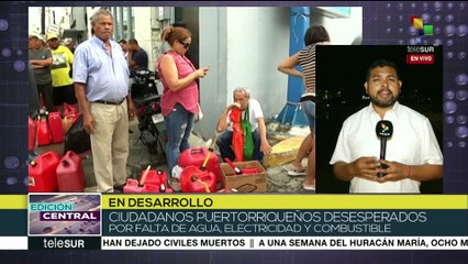 Huracán María destruyó el 80% de los cultivos de Puerto Rico