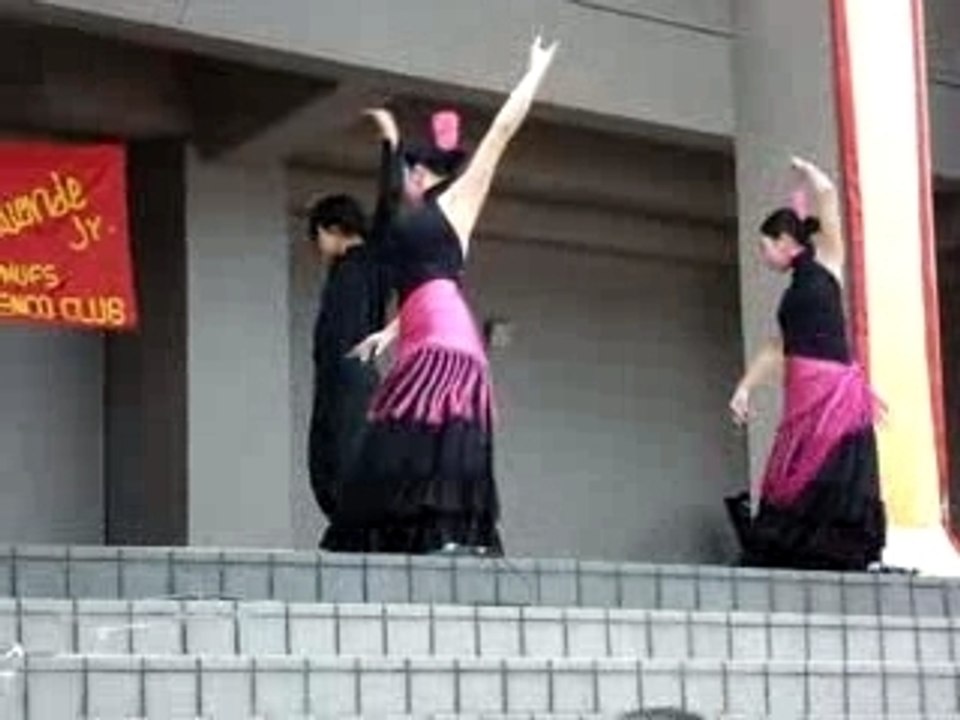flamenco1