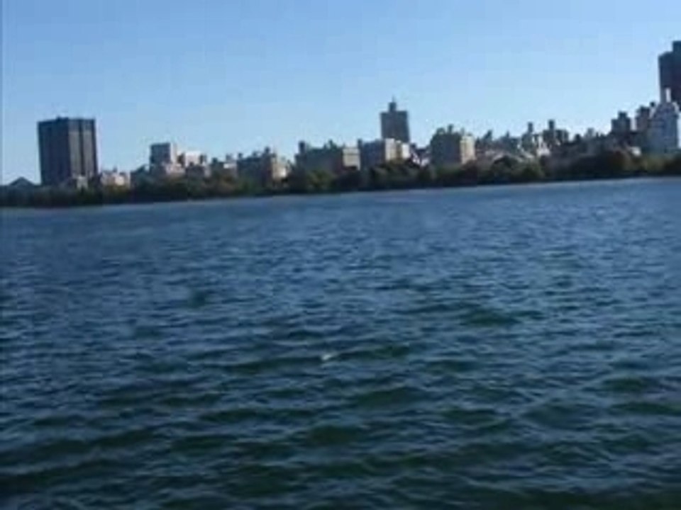 Central park