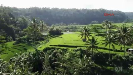 Endonezya'da Binlerce Kişi Yanardağdan Kaçıyor