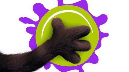 Talking Tom Gold Run - Build Your Dream House (Gameplay)