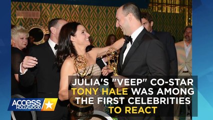 Julia Louis-Dreyfus Reveals Shocking Breast Cancer Diagnosis, Thanks Loved Ones For Support-RgNZ9lst1cs