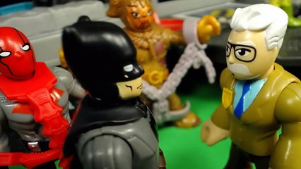 Imaginext Poison Ivy and Nightwing Reunited and First Kiss in the Aftermath of Red Hood Fight