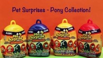 Pet Surprise Toys Eggs Opening Unboxing Review Pony MLP My Little Pony Collector Huevas Sorpresa Toy