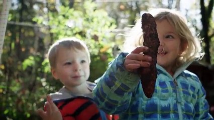 You Can Learn What It Takes To Run A Good Montessori School By Reading This