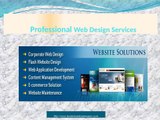 What Professional Web Design Services Companies Do for You?