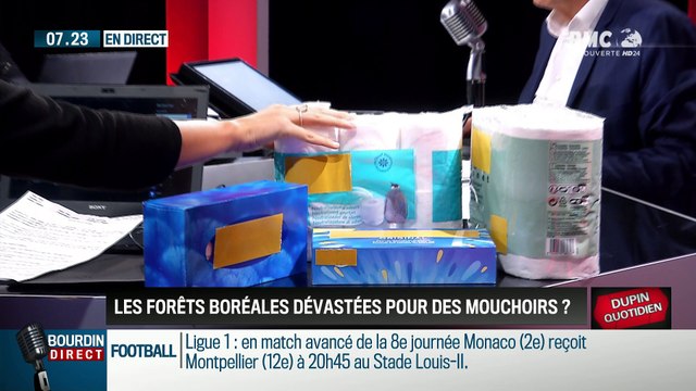 Dupin Quotidien : Les forêts boréales dévastées pour des mouchoirs - 28/09