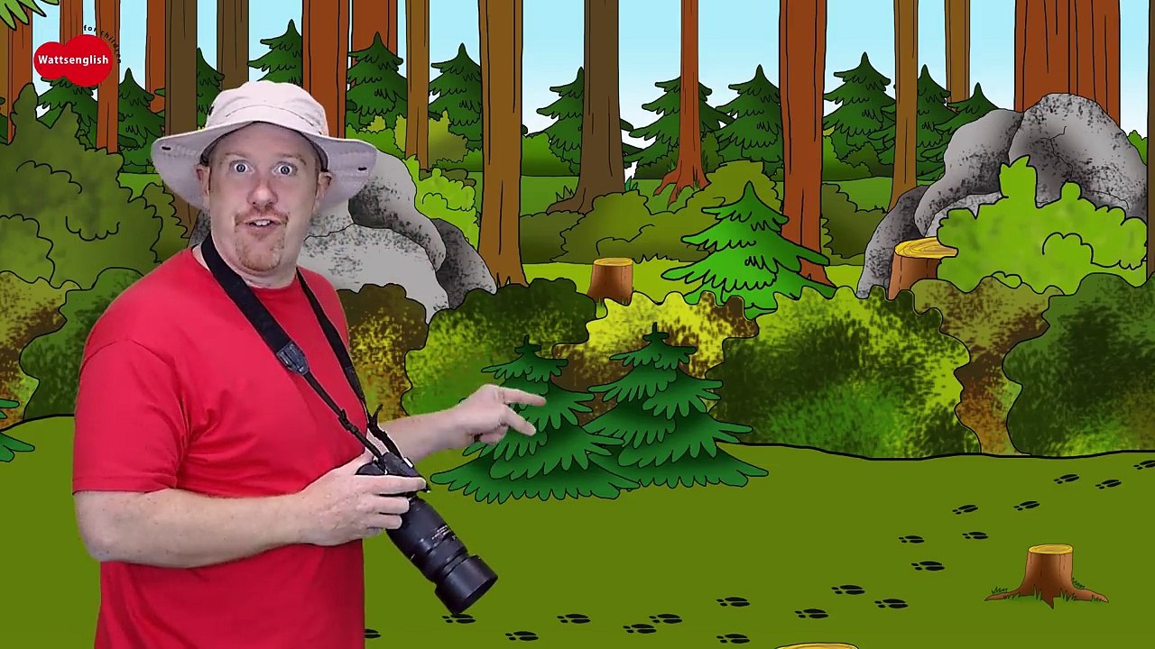 Animal Stories for Kids | Wild Animals from Steve and Maggie | English Stories by Wow English TV