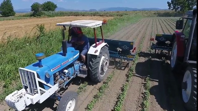Sıra arası çapalama ve gübreleme
