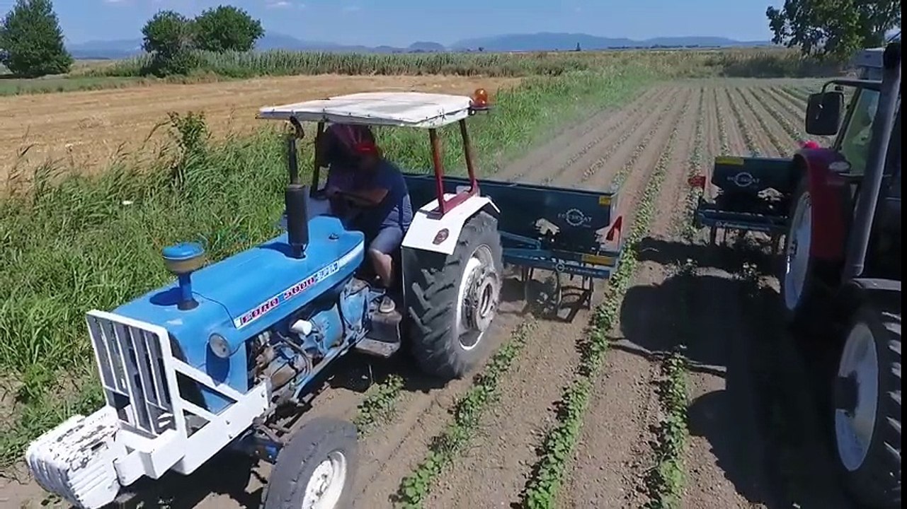 Sıra arası çapalama ve gübreleme