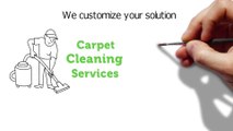 Carpet Cleaning and Stain Removal Services