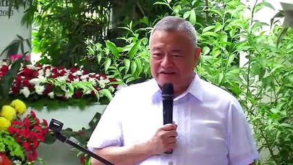 Remembering Miriam Defensor-Santiago a year after her death