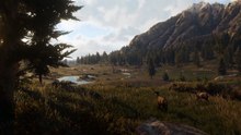 Red Dead Redemption 2 [Preview]