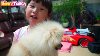 How To have a dog bus _ Playground Family Fun for Kids-eFePWpIxQg4