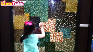 Lime touches the scorpion! Indoor Playground Family Fun for Kids-T6OqvigoDyE