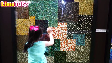 Lime touches the scorpion! Indoor Playground Family Fun for Kids-T6OqvigoDyE