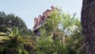Disney World Rides POV Videos | Hollywood Tower of Terror FULL RIDE at Hollywood Studios
