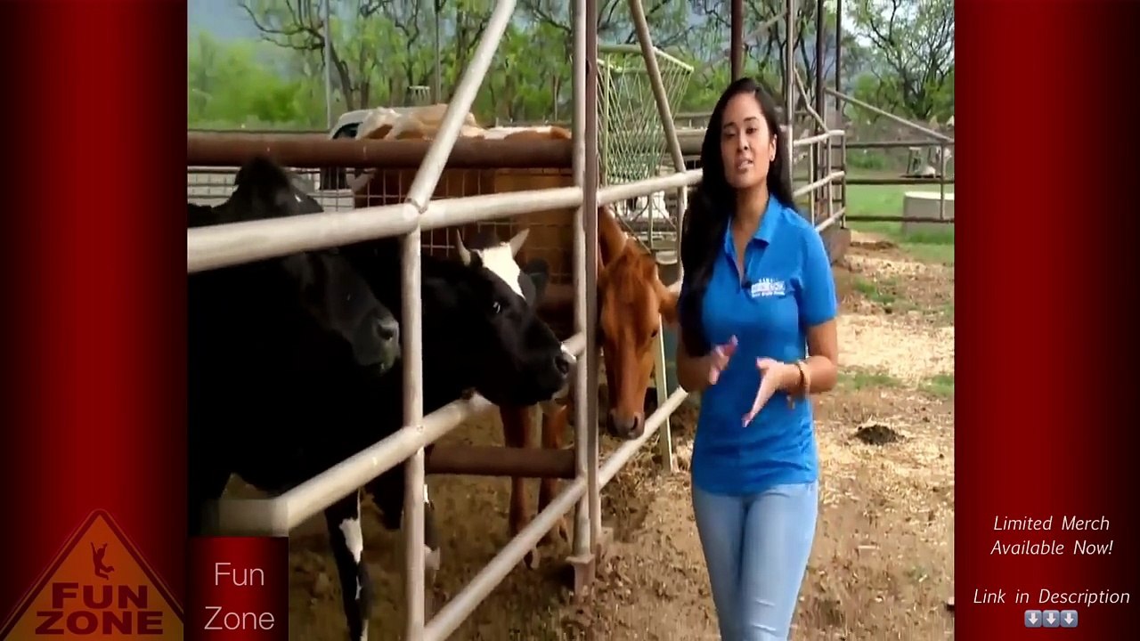 The Most Awkward Moments Caught on Live Tv _ Live Tv Fails Compilation 2017 Part 50-OAOg5OA_EP8