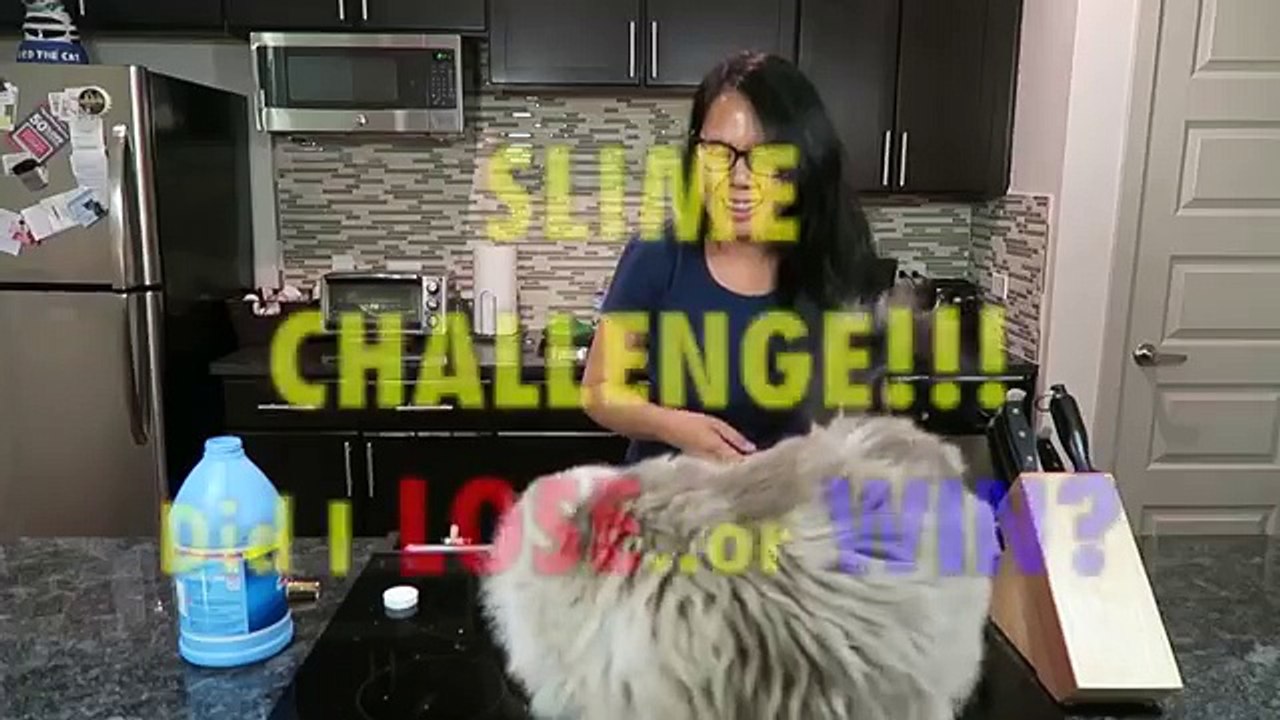 SLIME CHALLENGE