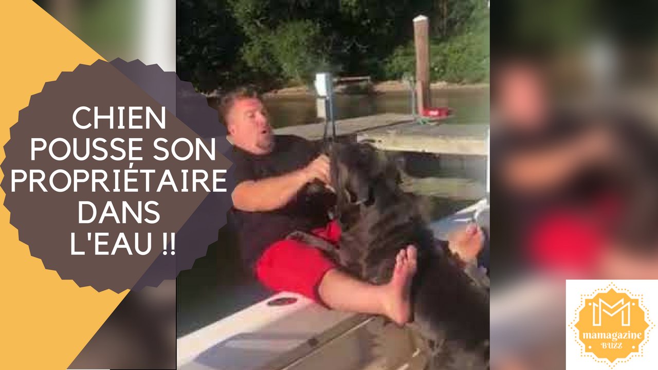 Vidéo Drôle- Chien pousse accidentellement son propriétaire dans l'eau!!