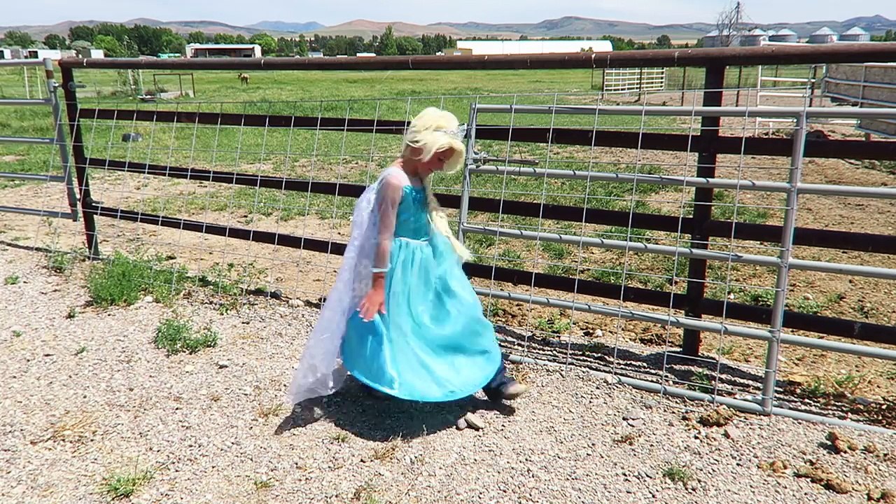 Pink Spidergirl & Frozen Elsa vs Horse MY LITTLE PONY Super funny Superhero Comic