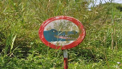 Legends of Nature: Gustave the Giant Crocodile