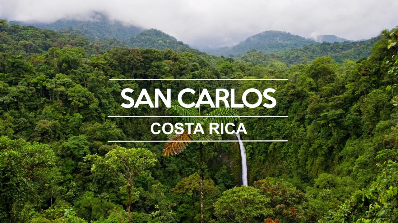 Municipalidad de San Carlos