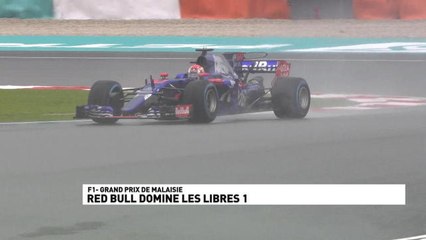 Grand Prix de Malaisie - Essais libres 1