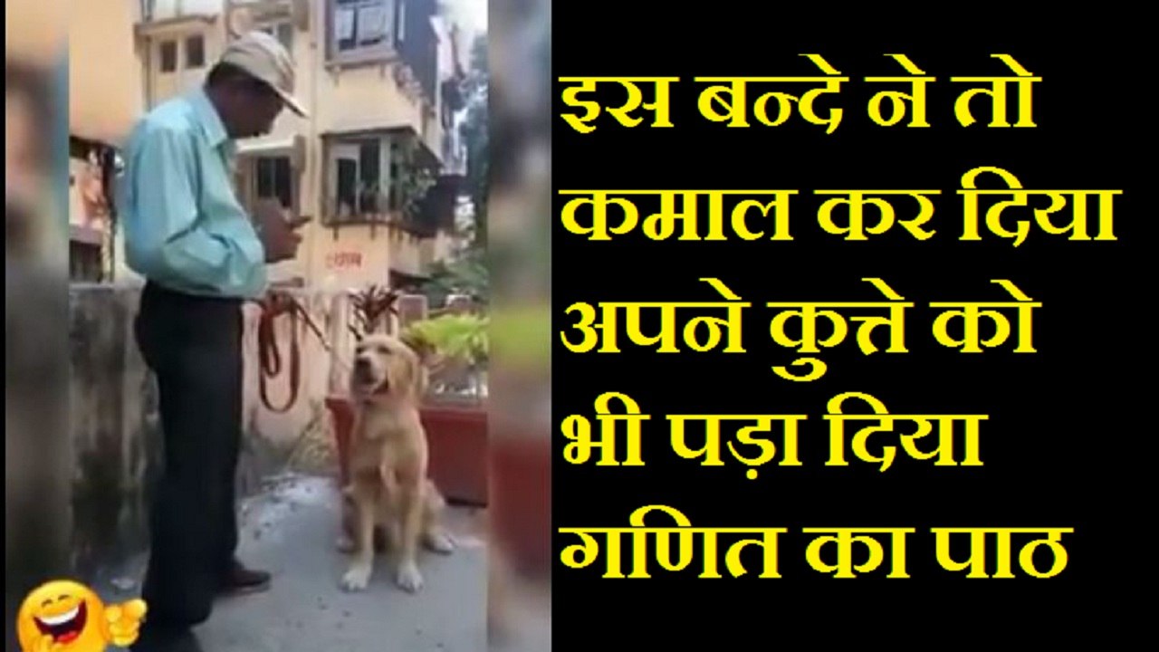 इस बन्दे ने तो कमाल कर दिया अपने कुत्ते को भी पढ़ा दिया गणित का पाठ। देखें इस वीडियो में।