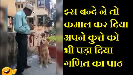 इस बन्दे ने तो कमाल कर दिया अपने कुत्ते को भी पढ़ा दिया गणित का पाठ। देखें इस वीडियो में।