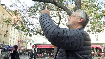 "Au Nègre Joyeux ": Débat sur les vestiges de l’époque coloniale