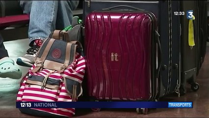 Faute de pilotes, la compagnie Ryanair annule des centaines de vols