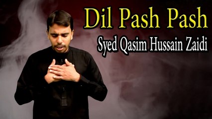 Syed Qasim Hussain Zaidi - Dil Pash Pash