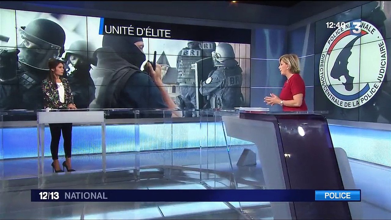 Police : quelles sont les missions de la BRI ?